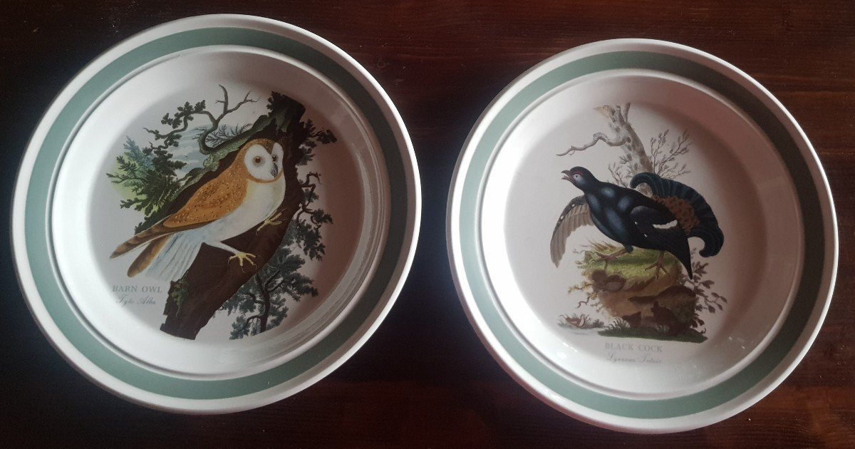 due piatti antichi Portmeirion  Birds Of Britain  E. Donovan Barbagianni e Gallo nero