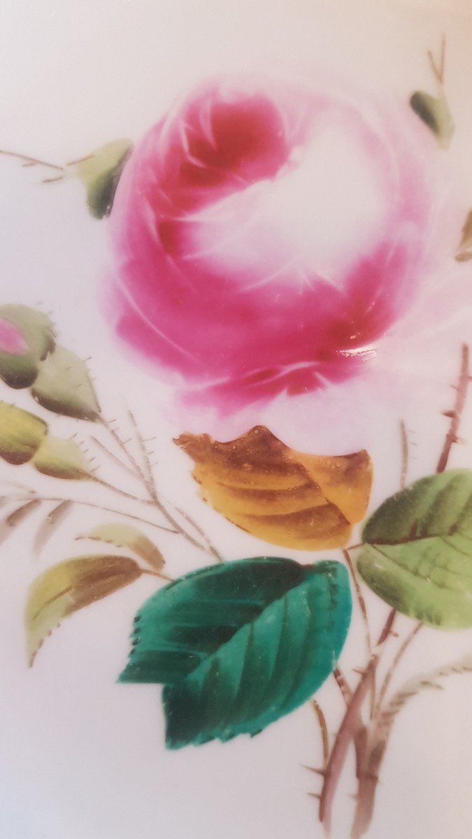 coppia di antichi piatti in terraglia inglese del XIX secolo decoro floreale dipinto -photo-2