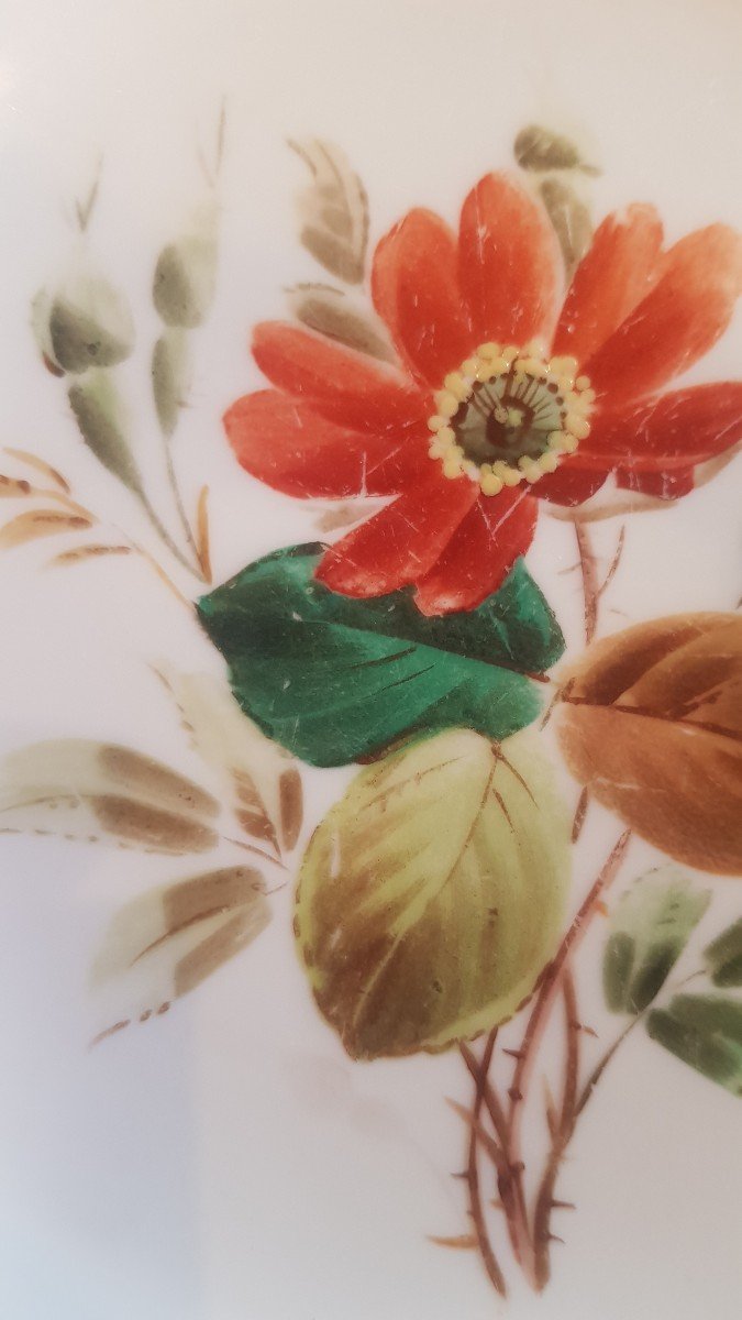 coppia di antichi piatti in terraglia inglese del XIX secolo decoro floreale dipinto -photo-3