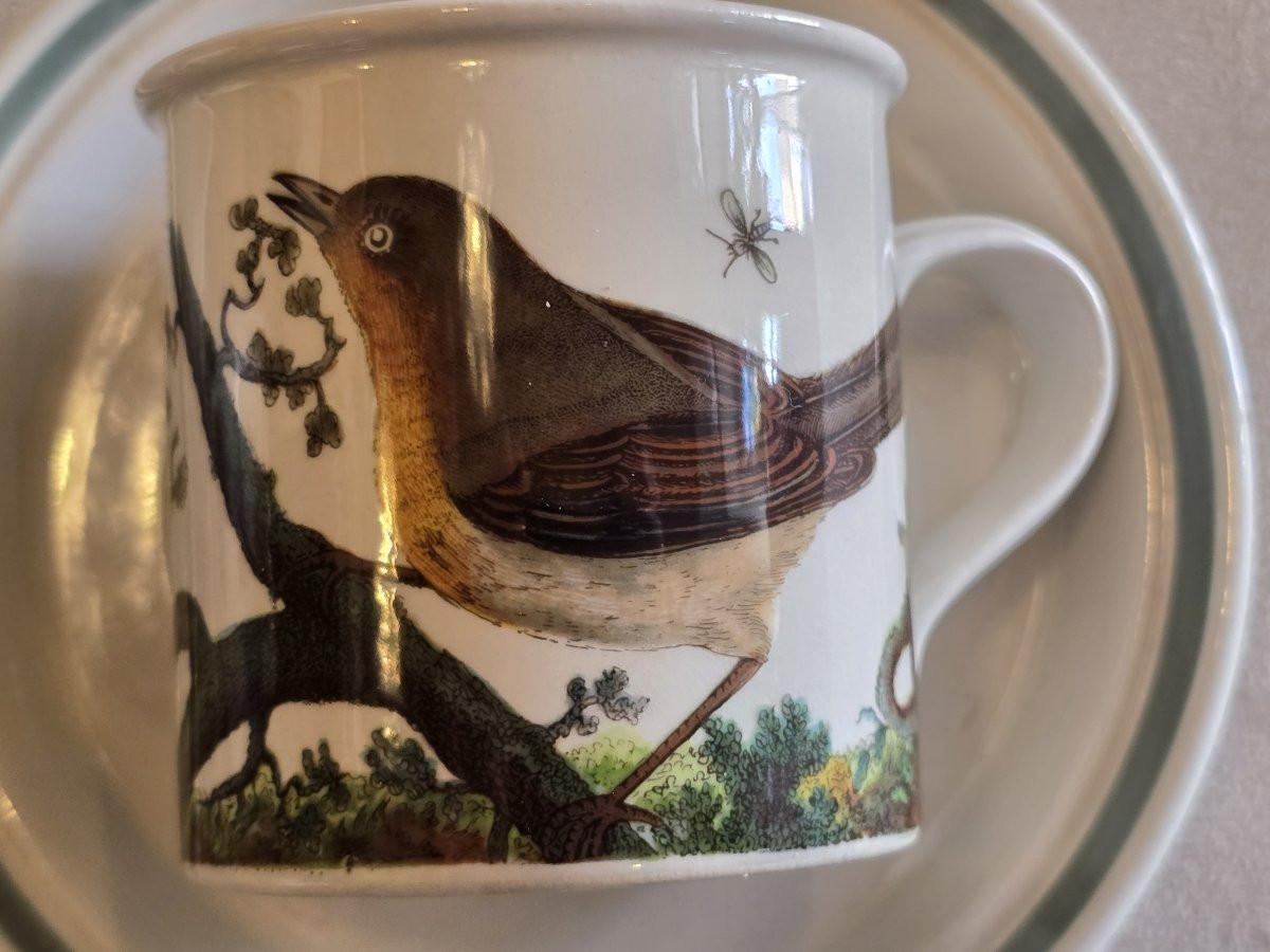 Vecchio servizio da caffè Portmeirion 1978 Birds of Britain E. Donovan-photo-4