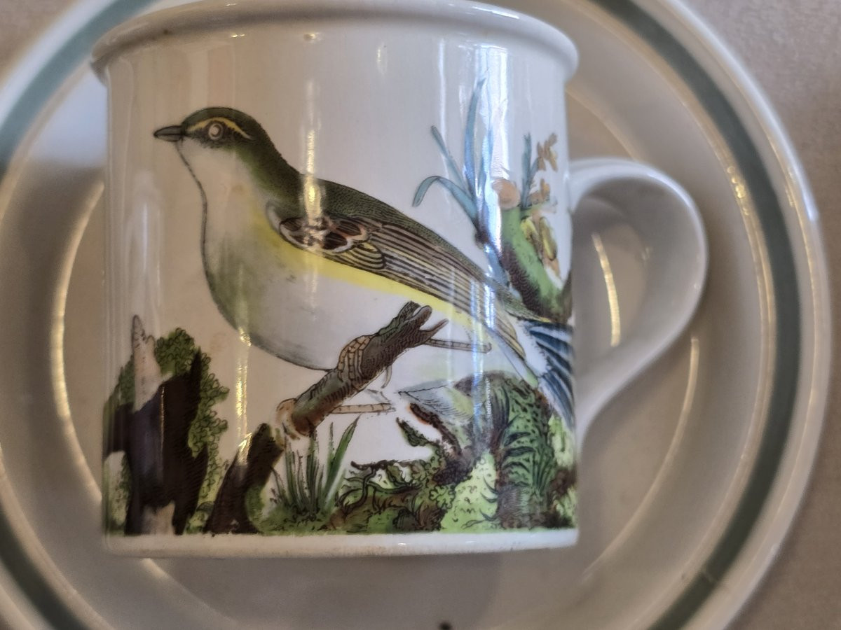 Vecchio servizio da caffè Portmeirion 1978 Birds of Britain E. Donovan-photo-5