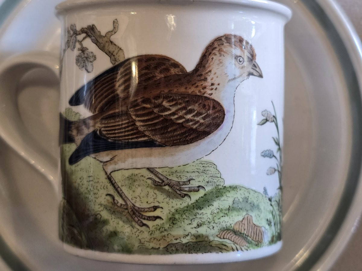 Vecchio servizio da caffè Portmeirion 1978 Birds of Britain E. Donovan-photo-7