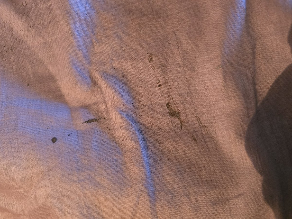 Tendaggio antico, coppia di pannelli in gobelin dei primi del XX secolo-photo-7