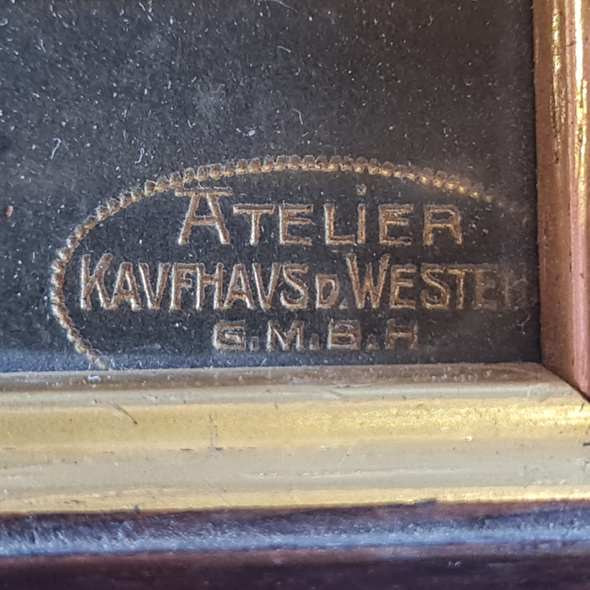 Fotografia argentica di una dama aristocratica, Kaufhaus des Westens, Berlino, circa 1910-photo-1