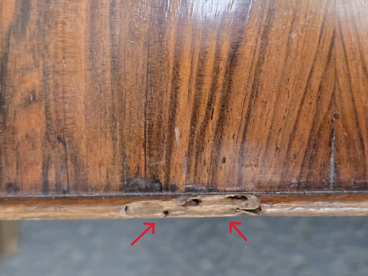 Comodino antico in noce, Italia, epoca Impero, inizio XIX secolo-photo-8