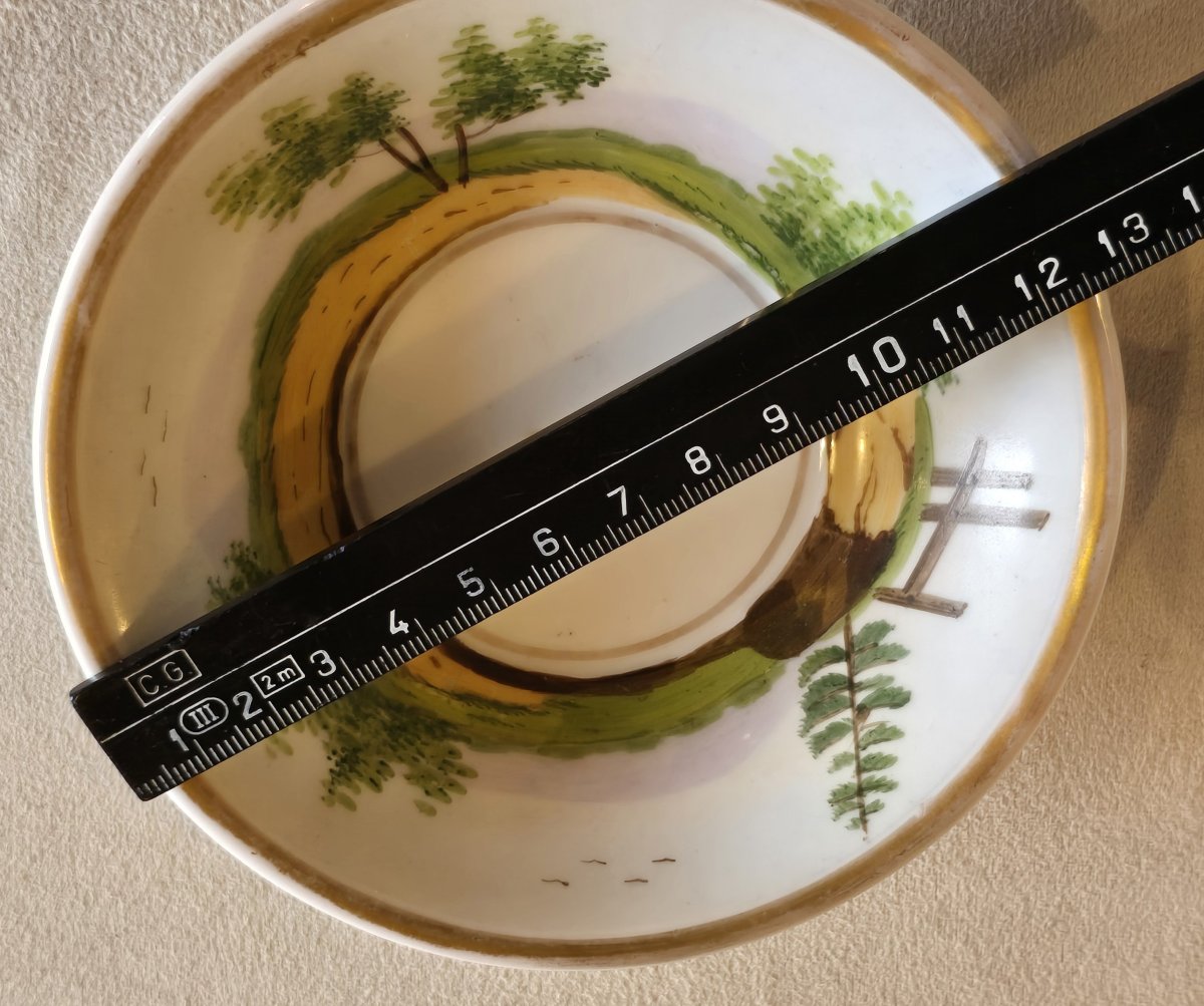 Antica tazza da caffè con il suo piattino in porcellana dipinta, XIX secolo-photo-6