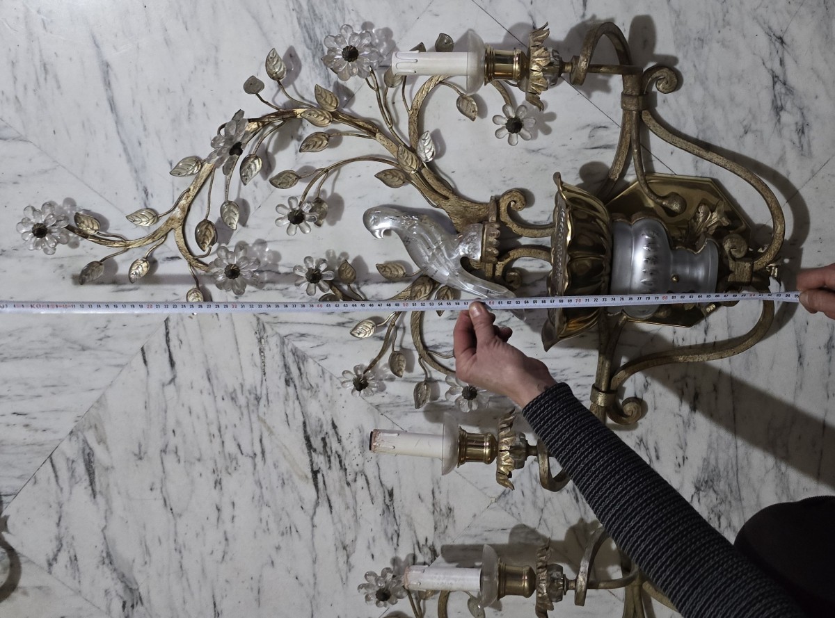 Grande coppia di applique antiche con pappagallo in ferro e cristallo, Banci, anni 1980-photo-5