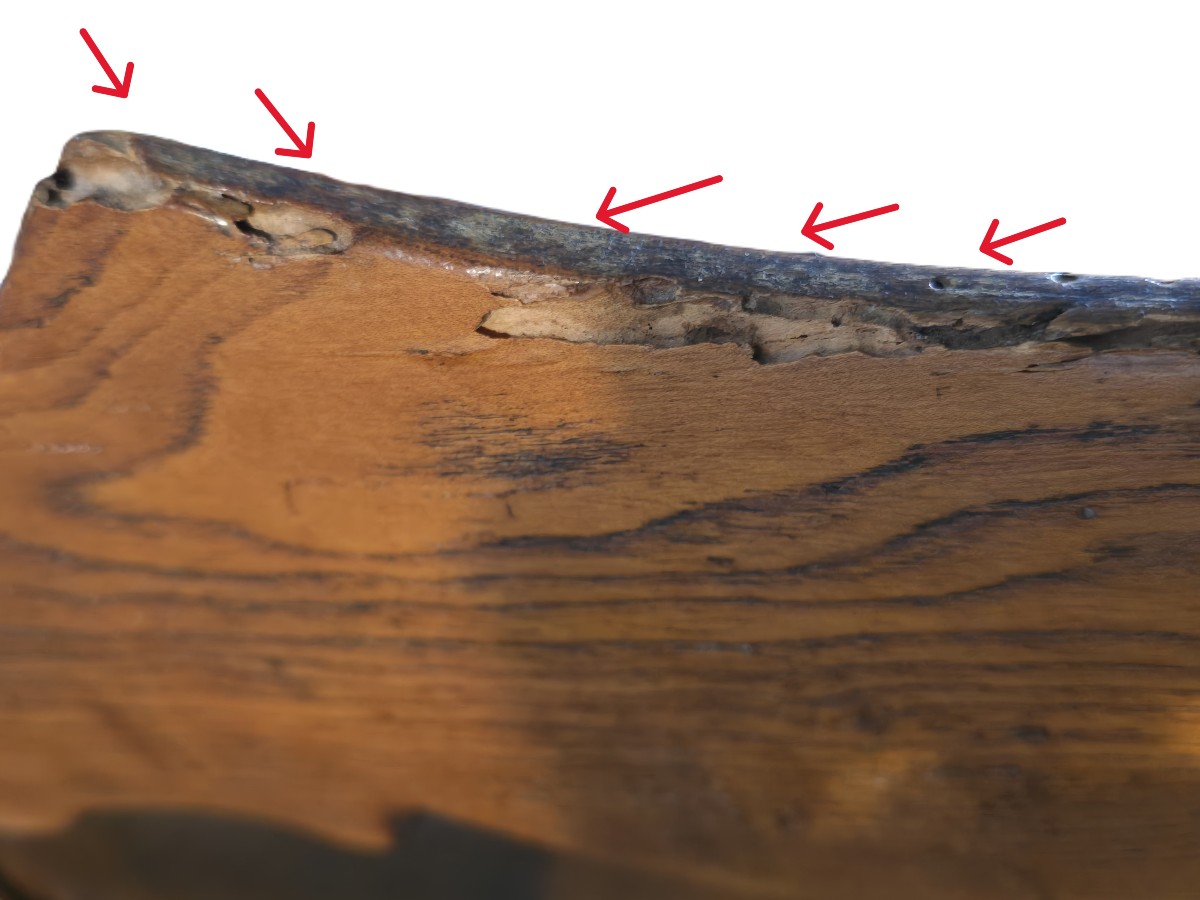 Panca antica in olmo massello, Italia settentrionale 700-photo-5