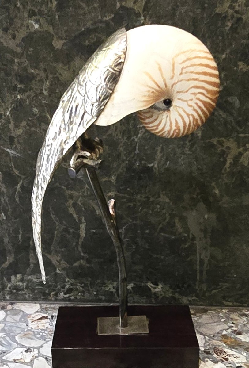 Pappagallo scultura di Gabriella Binazzi, anni '70-photo-2