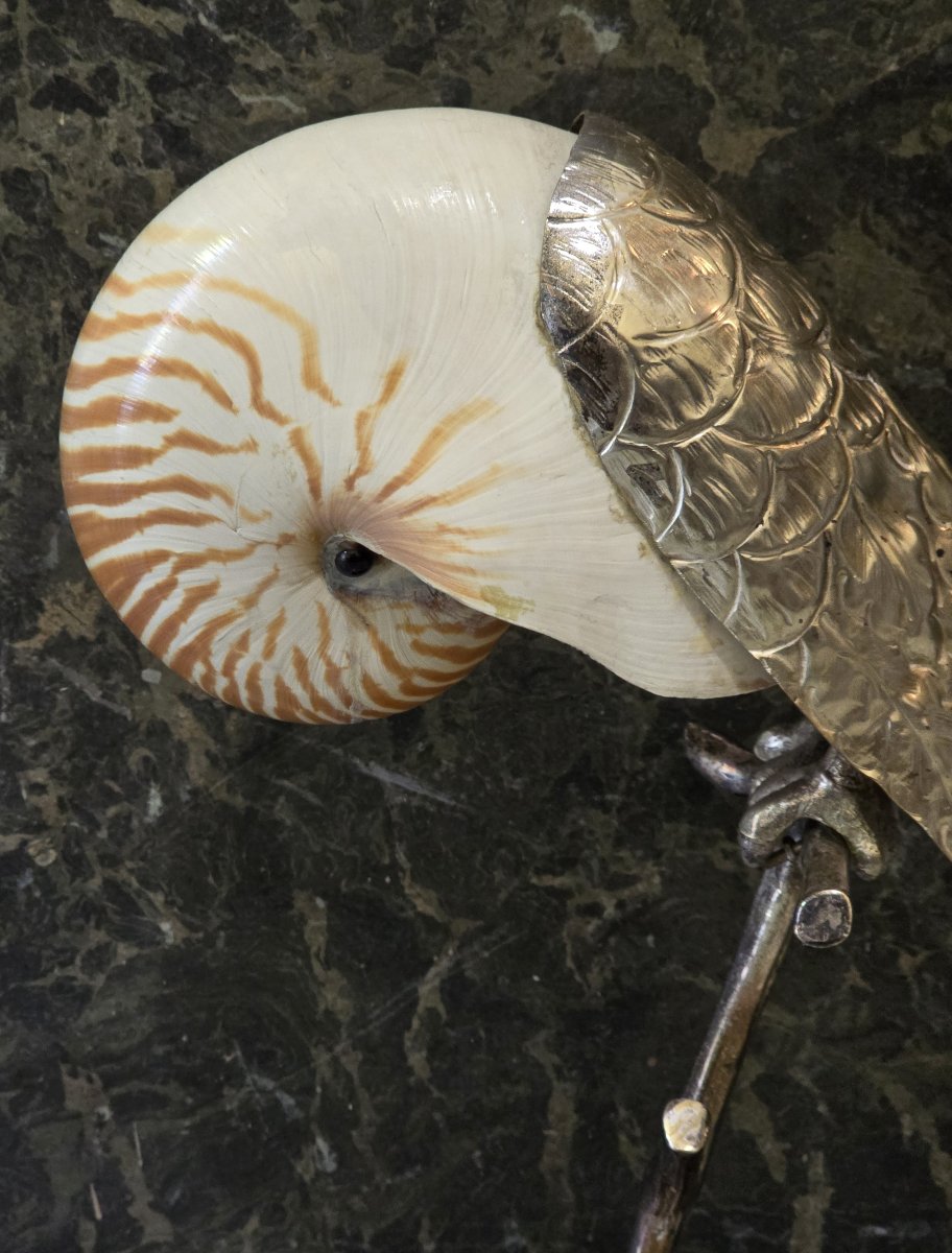 Pappagallo scultura di Gabriella Binazzi, anni '70-photo-2