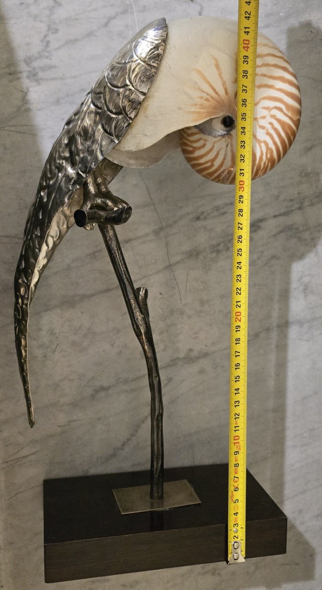 Pappagallo scultura di Gabriella Binazzi, anni '70-photo-7