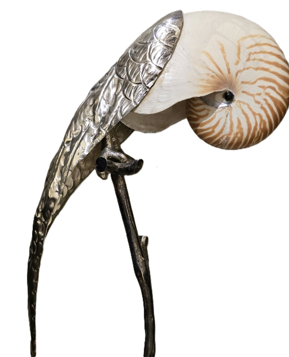 Pappagallo scultura di Gabriella Binazzi, anni '70