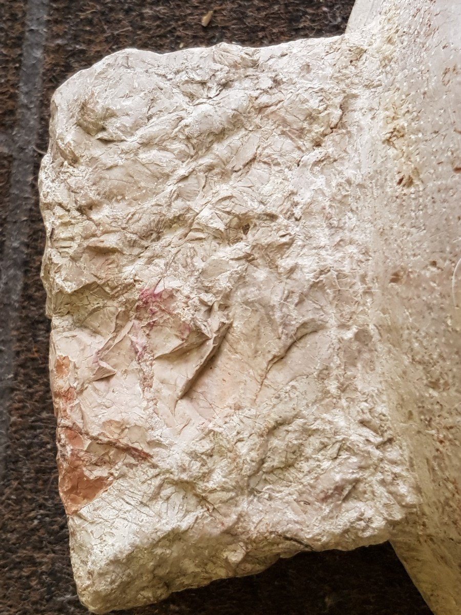 Bénitier Mural Ancien En Marbre Fossil Blanc Et Rose De Candoglia-photo-2