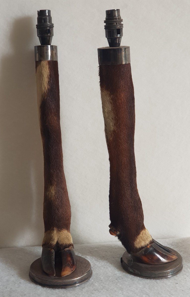 Coppia di vecchie basi per lampade tassidermiche con gambe di cervo e argento massiccio-photo-2