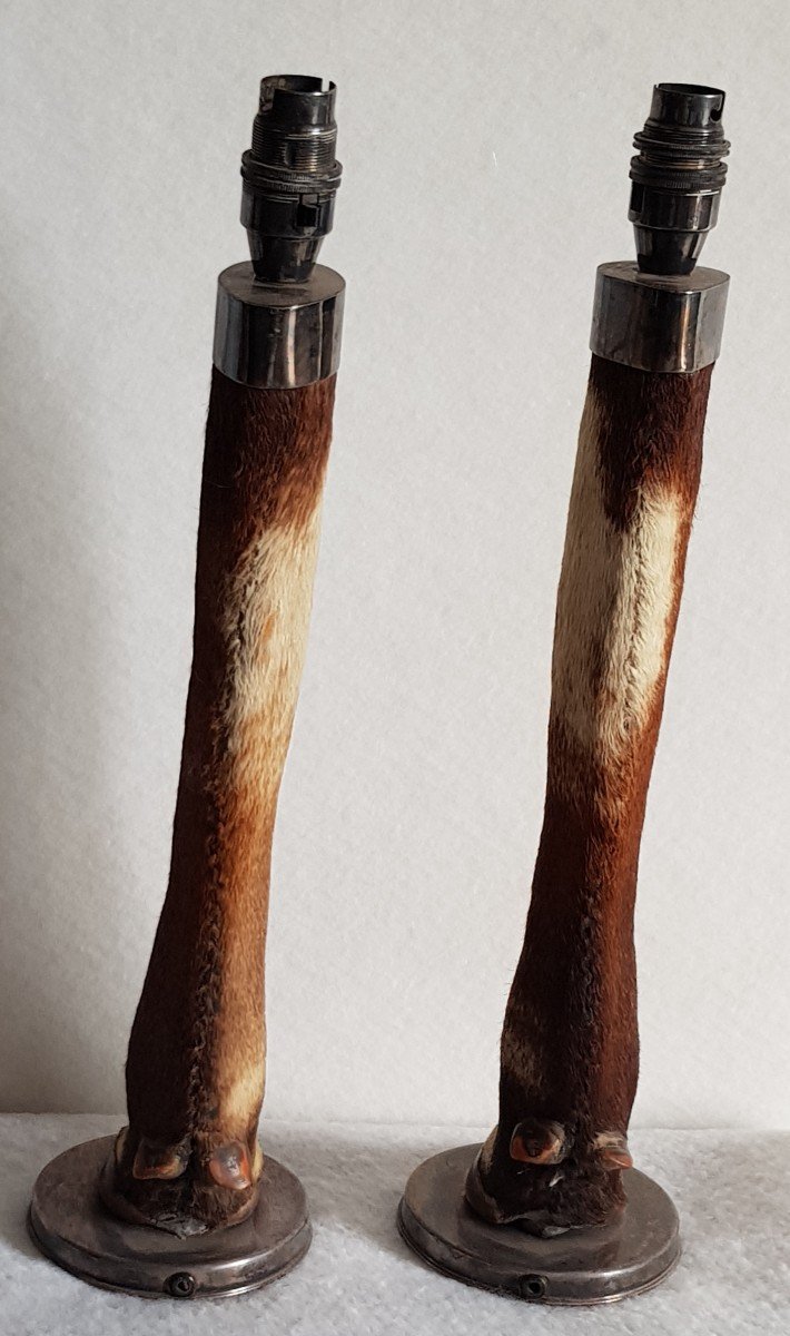 Coppia di vecchie basi per lampade tassidermiche con gambe di cervo e argento massiccio-photo-3