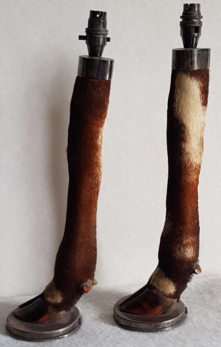 Coppia di vecchie basi per lampade tassidermiche con gambe di cervo e argento massiccio