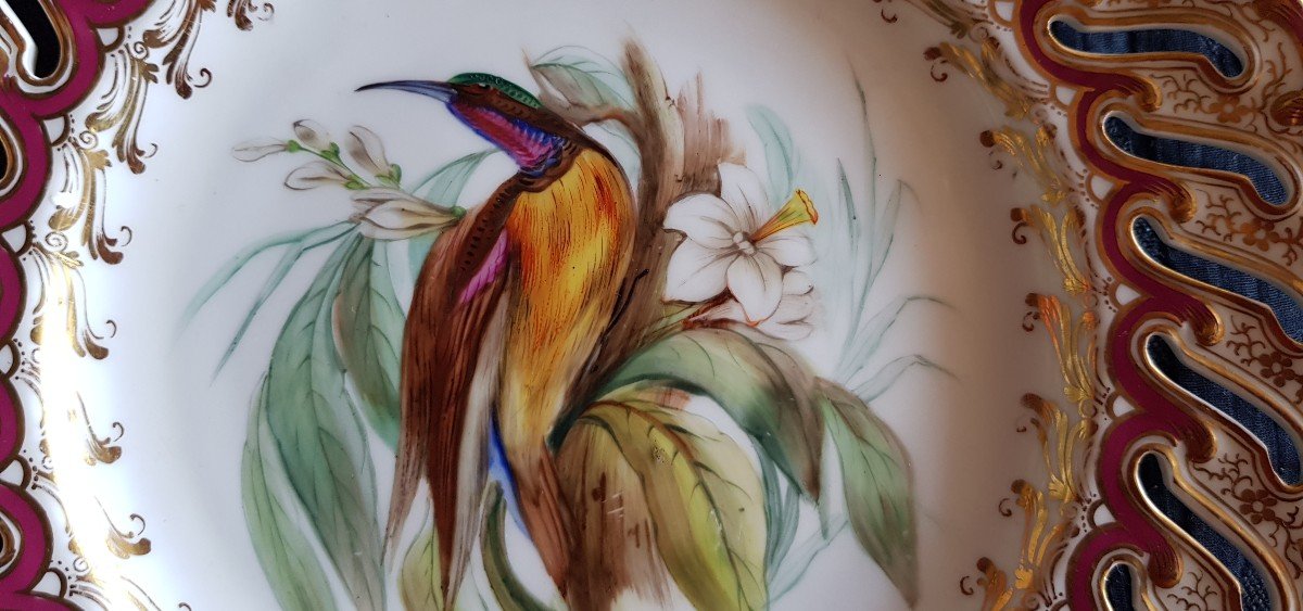 Assiette Anglaise XIX S Porcelaine Ajourée Et Peinte à  La Main Oiseau Du Paradis-photo-3