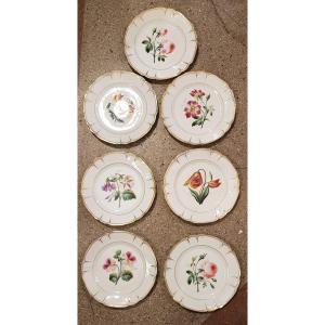 Set Di 7 Piatti Antichi In Porcellana Dipinti a mano Fiori 21 Cm Di Diametro