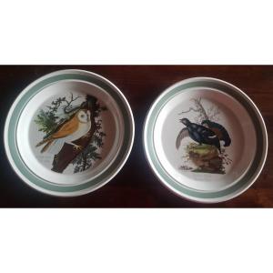 due piatti antichi Portmeirion  Birds Of Britain  E. Donovan Barbagianni e Gallo nero