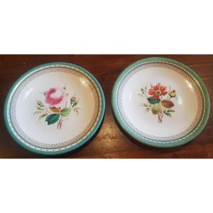 coppia di antichi piatti in terraglia inglese del XIX secolo decoro floreale dipinto 