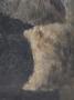 1540333-6815e42aa19e0.jpg