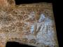 1597406-6893ce6529353.jpg