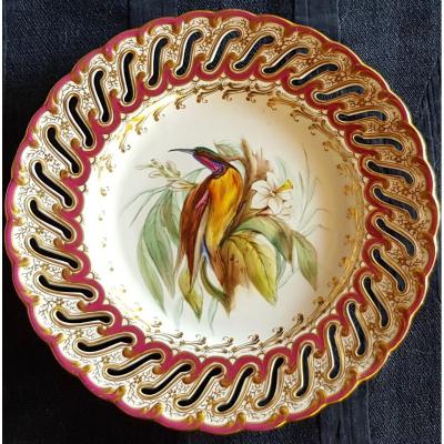 Assiette Anglaise XIX S Porcelaine Ajourée Et Peinte à  La Main Oiseau Du Paradis