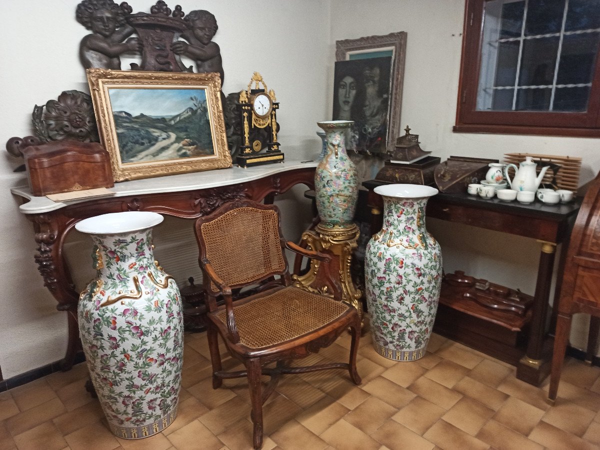 ADN Antiquites