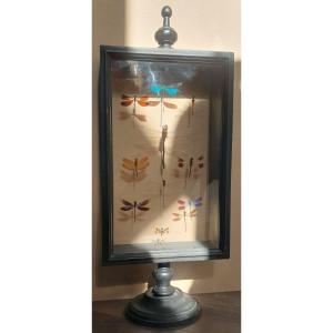 Entomological Display Case On Blackened Wood Stand With Dragonflies