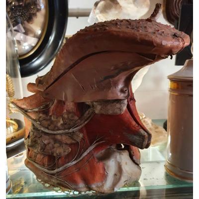 Flayed  “écorché” Clastic Anatomy Tongue Papier-mâché Auzoux