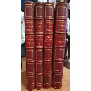 4 Atlas Of Descriptive Anatomy Of The Human Body By Doctors: C. Bonamy, Paul Broca