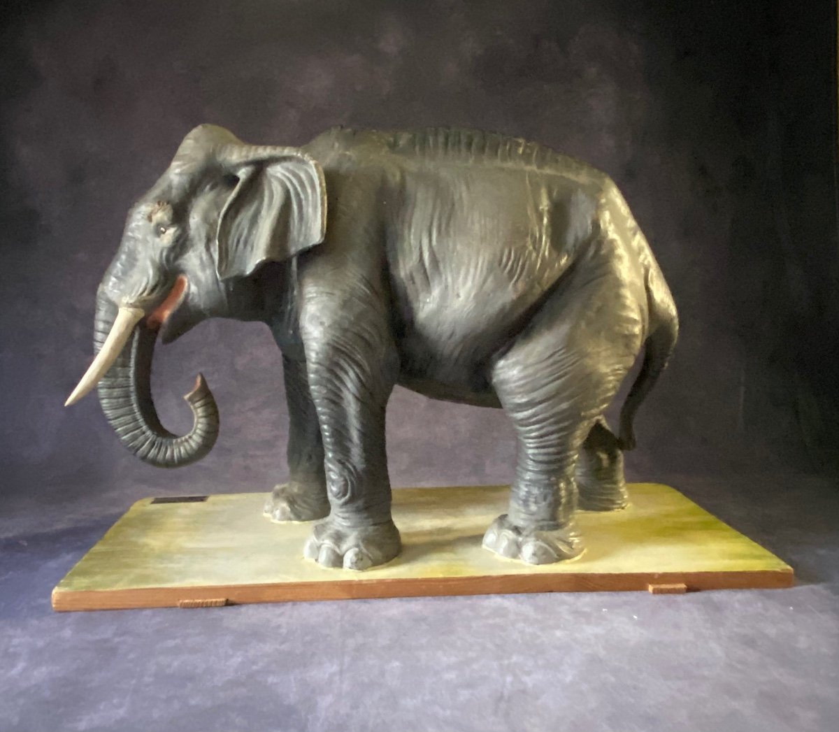RARO MODELLO DIDATTICO DI ELEFANTE IN CARTAPESTA - ITALIA INIZI 1900-photo-4