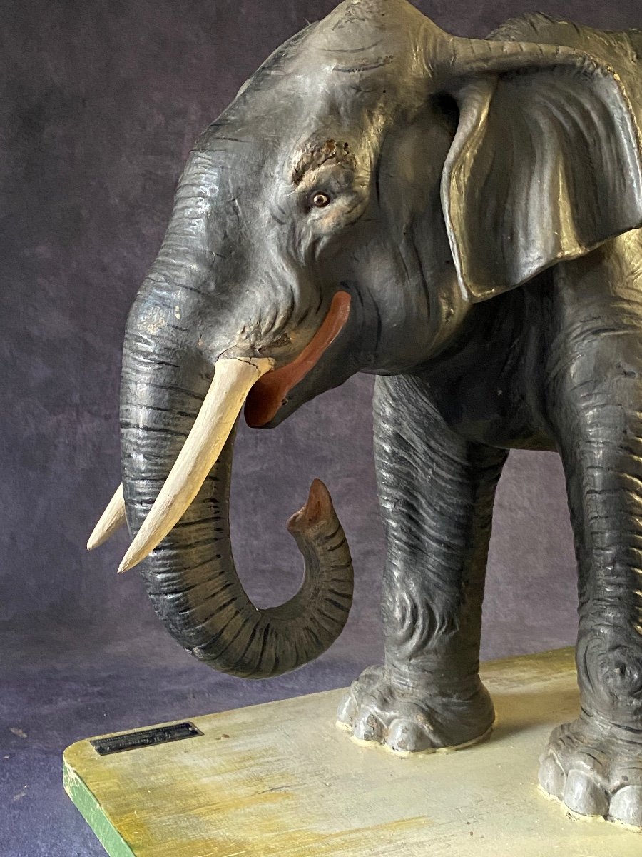 RARO MODELLO DIDATTICO DI ELEFANTE IN CARTAPESTA - ITALIA INIZI 1900-photo-1