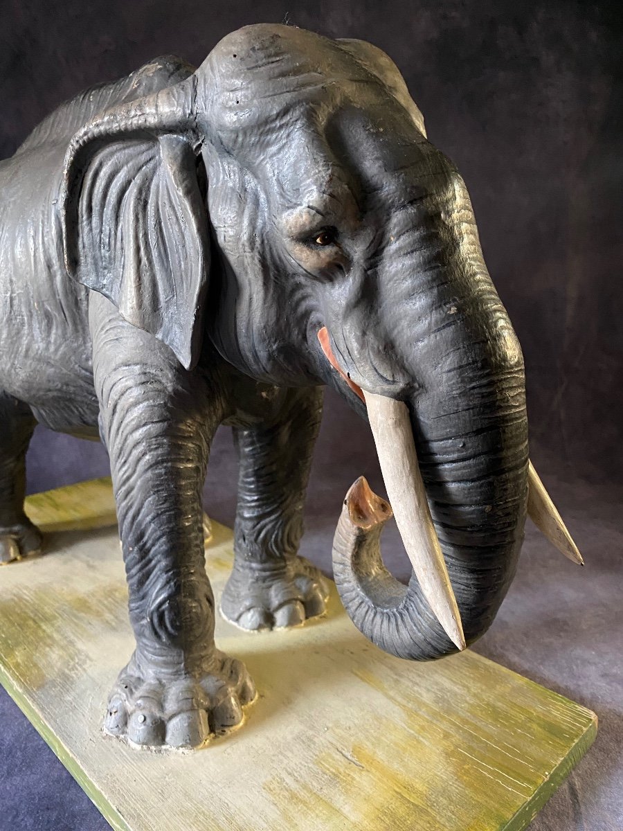 RARO MODELLO DIDATTICO DI ELEFANTE IN CARTAPESTA - ITALIA INIZI 1900-photo-2