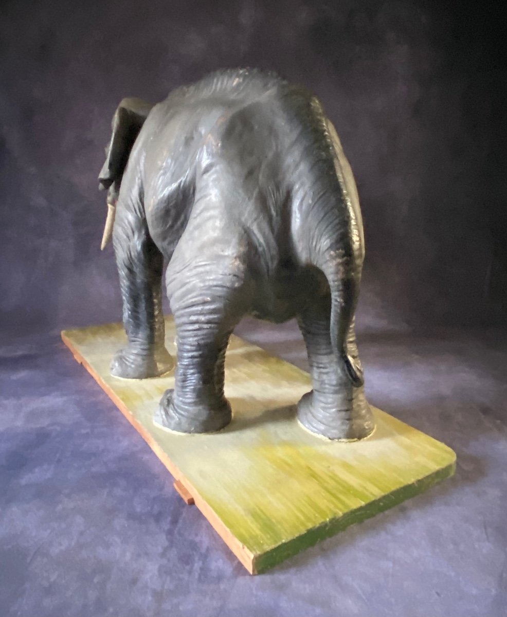 RARO MODELLO DIDATTICO DI ELEFANTE IN CARTAPESTA - ITALIA INIZI 1900-photo-4
