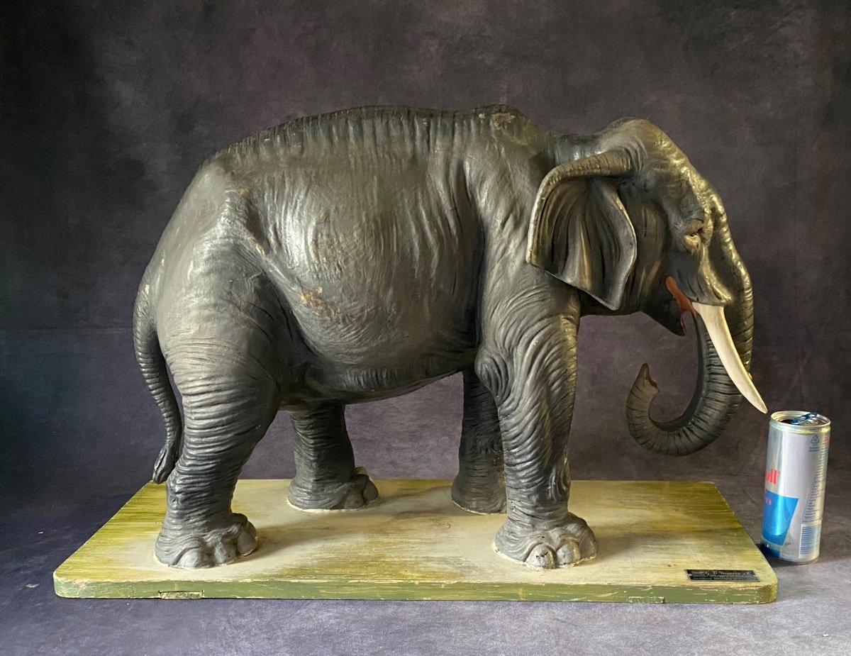 RARO MODELLO DIDATTICO DI ELEFANTE IN CARTAPESTA - ITALIA INIZI 1900-photo-7