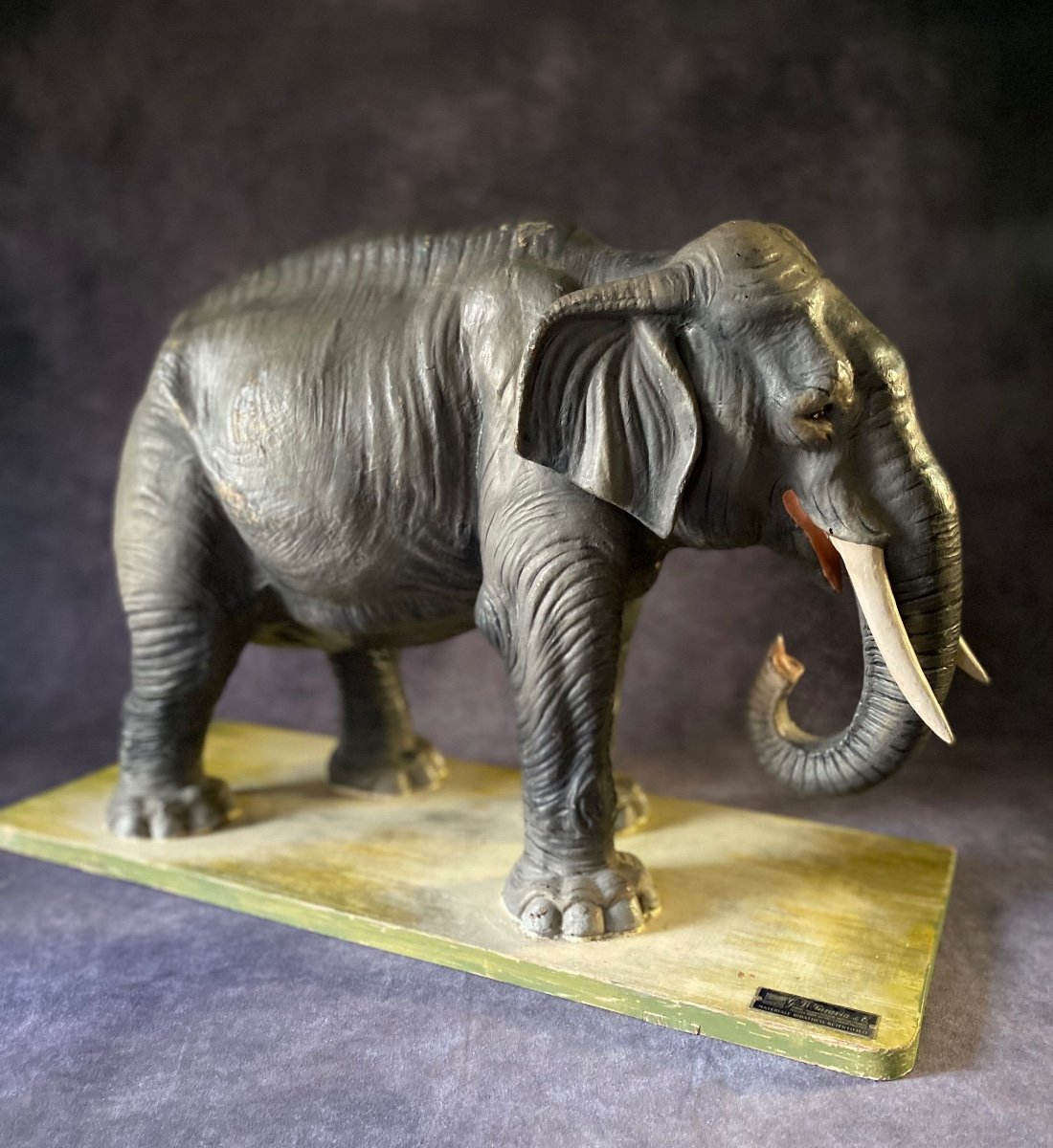 RARO MODELLO DIDATTICO DI ELEFANTE IN CARTAPESTA - ITALIA INIZI 1900
