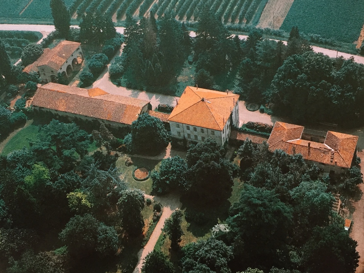 Antico collare torchiato per grande cane con firma storica  prestigiosa -photo-3