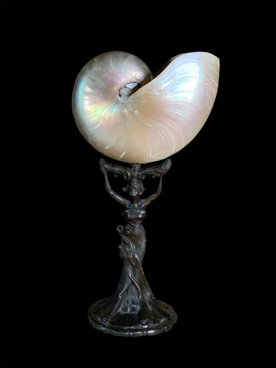 Lampada da tavolo Art Nouveau con conchiglia nautilo -photo-5