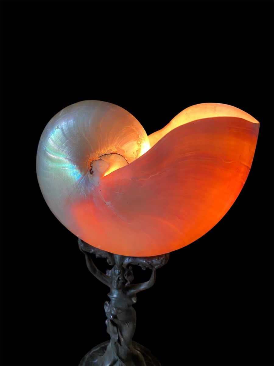 Lampada da tavolo Art Nouveau con conchiglia nautilo -photo-6
