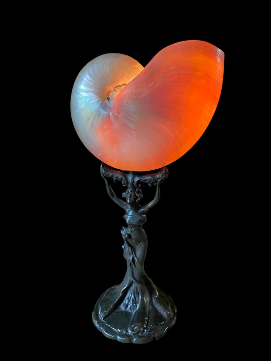 Lampada da tavolo Art Nouveau con conchiglia nautilo 