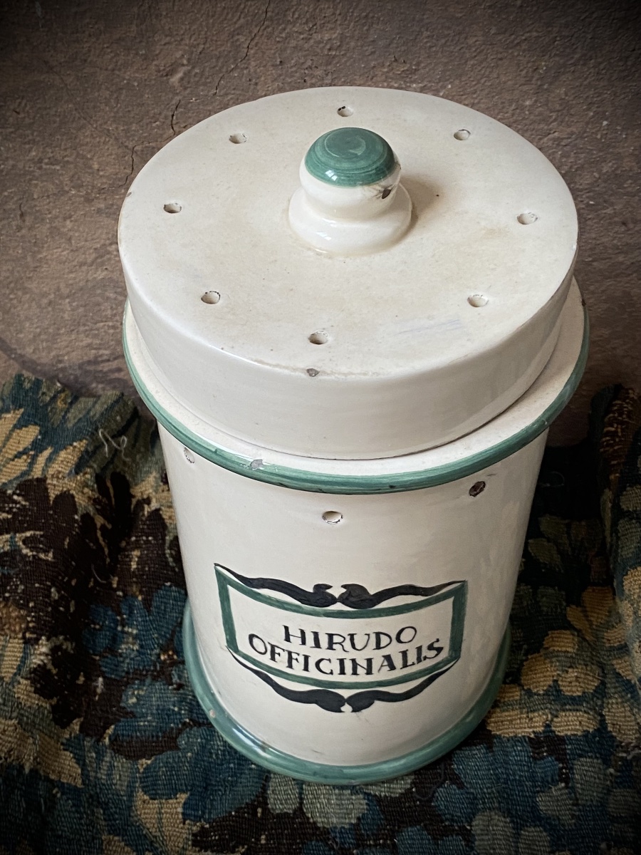 RARO VASO DA FARMACIA PER SANGUISUGHE - ITALIA, FINE XIX SECOLO-photo-4
