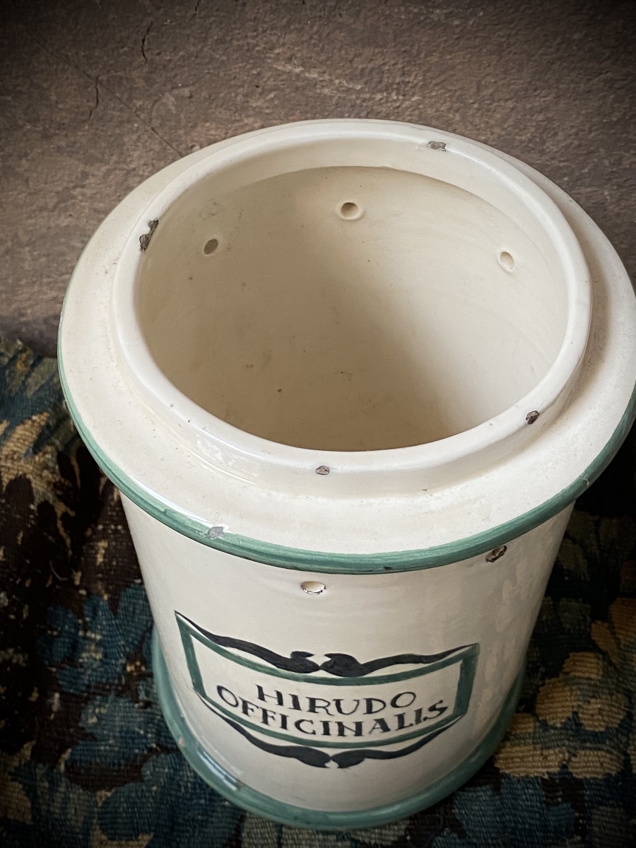 RARO VASO DA FARMACIA PER SANGUISUGHE - ITALIA, FINE XIX SECOLO-photo-1