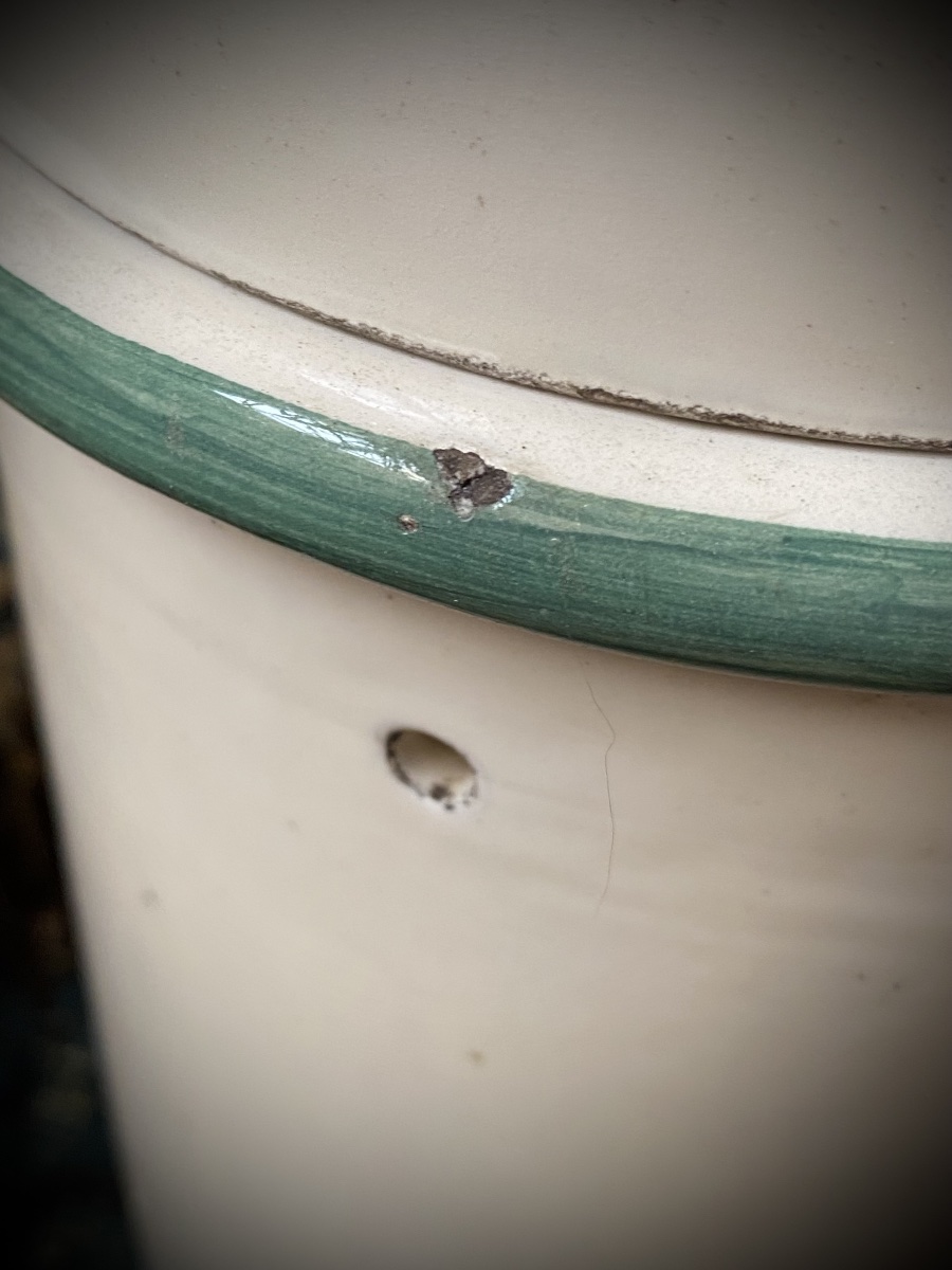 RARO VASO DA FARMACIA PER SANGUISUGHE - ITALIA, FINE XIX SECOLO-photo-4