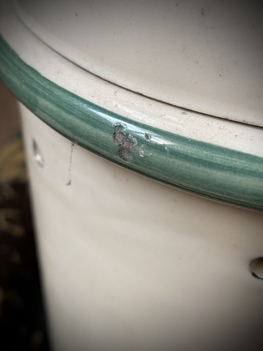 RARO VASO DA FARMACIA PER SANGUISUGHE - ITALIA, FINE XIX SECOLO-photo-5