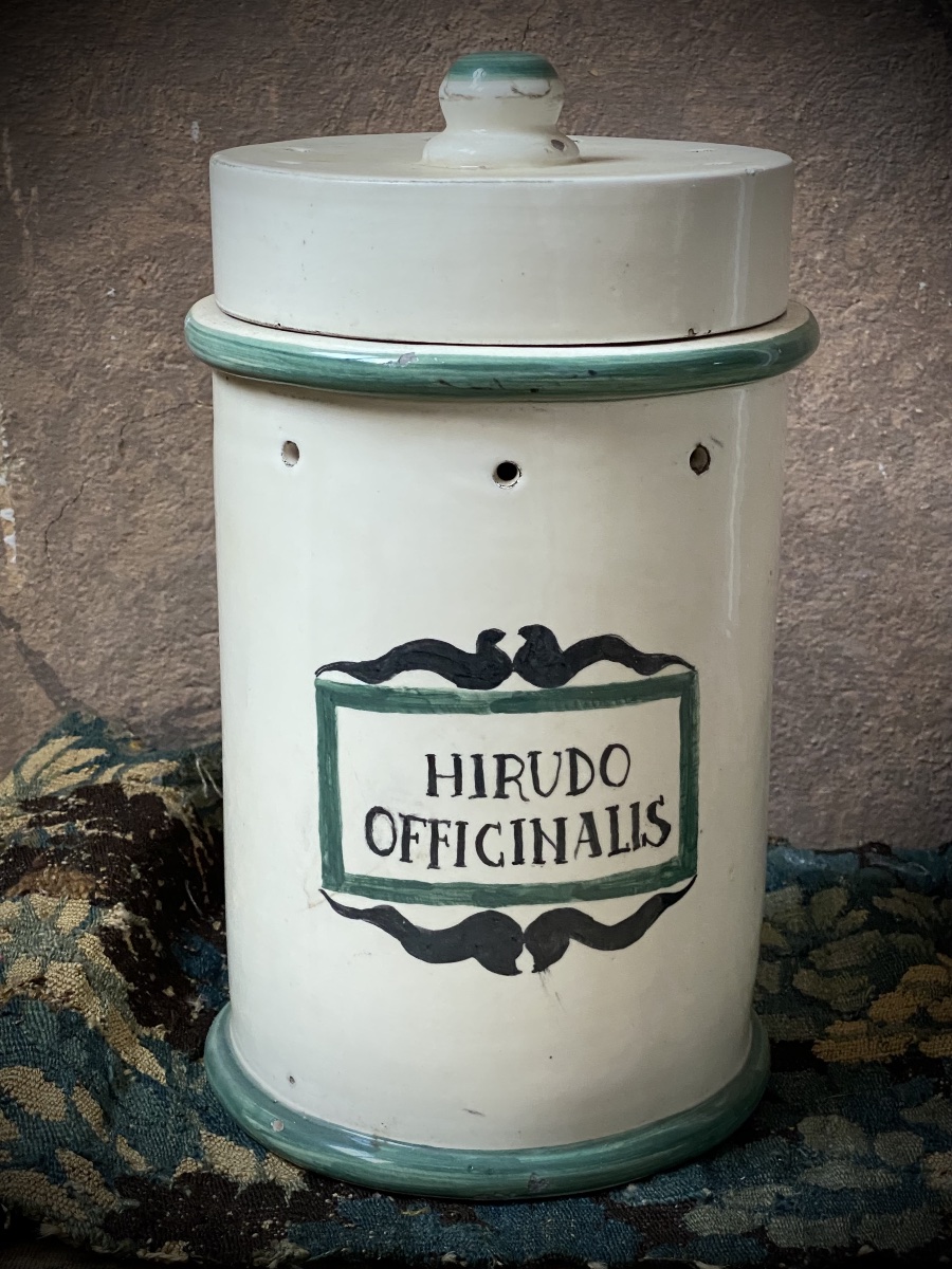 RARO VASO DA FARMACIA PER SANGUISUGHE - ITALIA, FINE XIX SECOLO