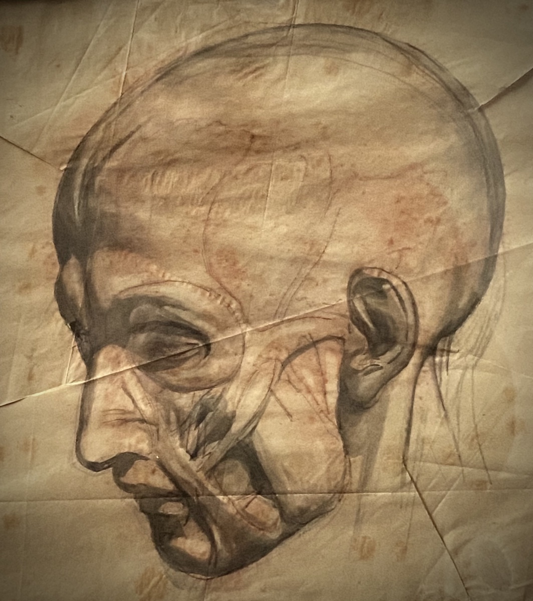 MODELLO ANATOMICO TESTA DI SCORTICATO . DISEGNO A SANGUIGNA ACCADEMIA D'ARTE -photo-3