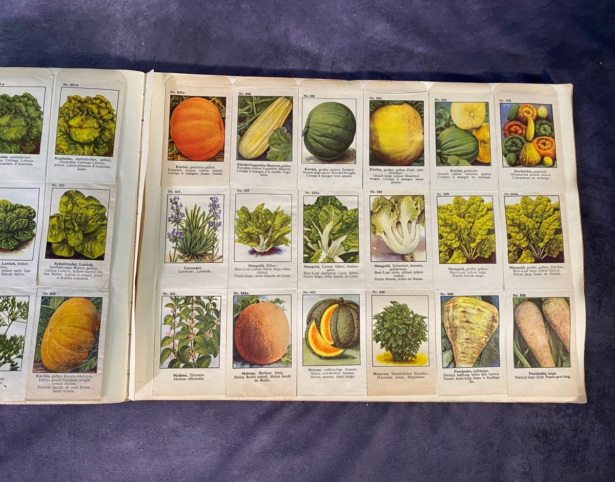 Grand Catalogue Allemand De Graines Pour Fleurs Et Légumes --photo-4