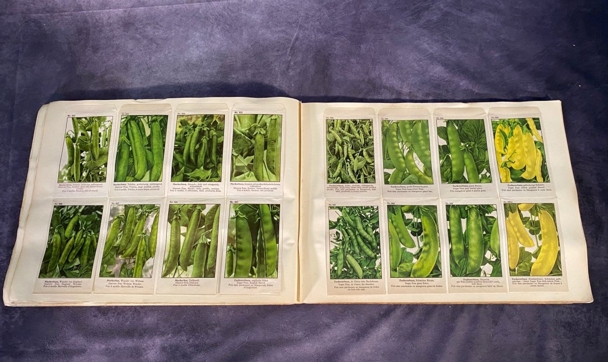 Grand Catalogue Allemand De Graines Pour Fleurs Et Légumes --photo-2
