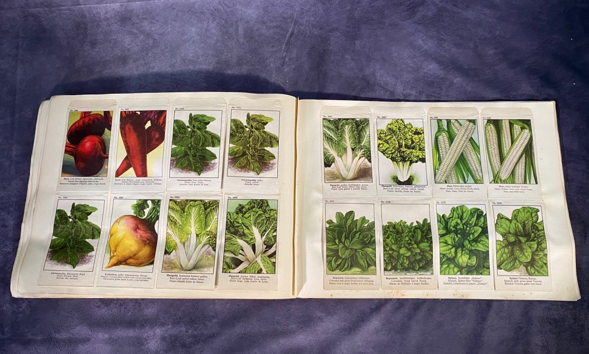 Grand Catalogue Allemand De Graines Pour Fleurs Et Légumes --photo-3